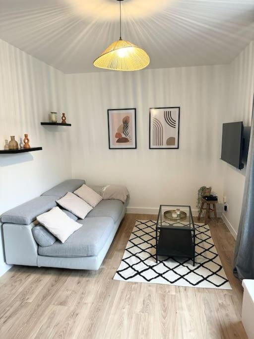Appartement Eloi - 1 Chambre Mont-de-Marsan Dış mekan fotoğraf